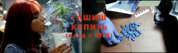 прущие грибы Красноперекопск