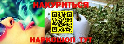 сатива Жуковский